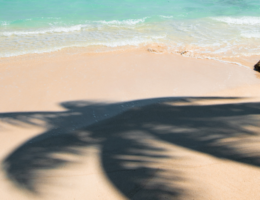 talivera-pause-bien-etre-culture-ecafé-evasion-voyage