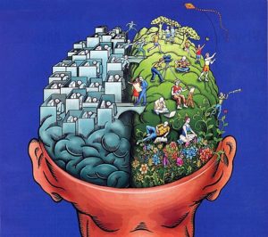cerveau-séparation-gauche-droite-imagination-pragmatisme